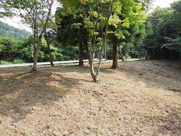 歩いて降りられるくらいの傾斜です