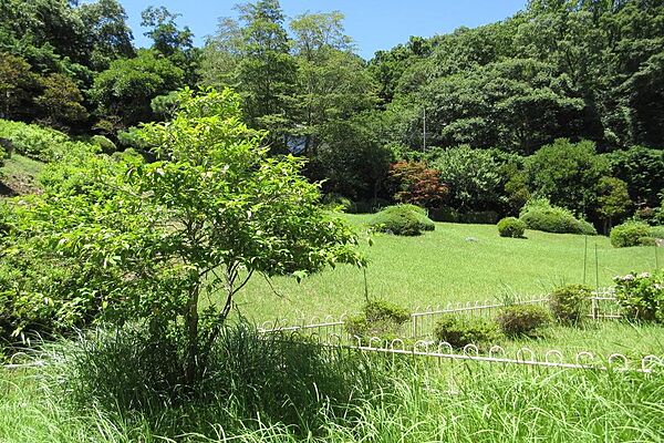 和室から専用庭と借景