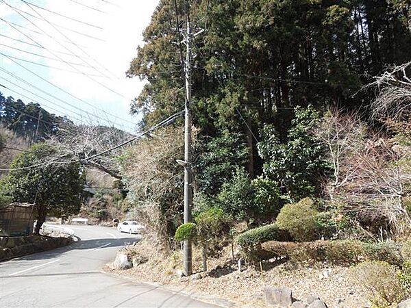 近隣は別荘や定住家屋が建ちながらも、自然環境が確保されています