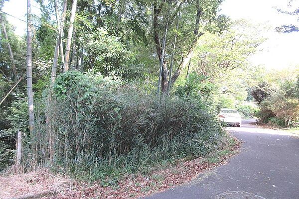 現況