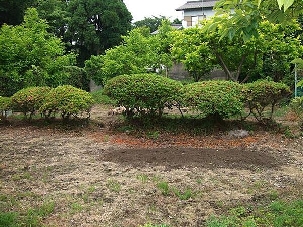 外観：322000570899