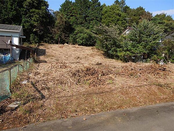 南道路に面し、一部平坦で奥に向かってっ緩やかな上り傾斜地です