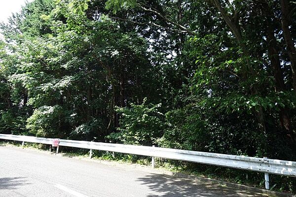 南道路に面しています