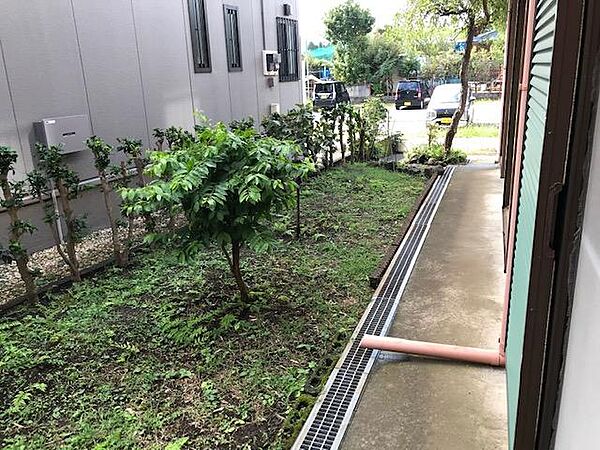 庭