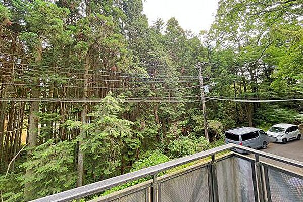 森の大自然に囲まれた風景