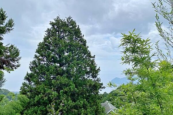 山並みの間から海が遠望できます