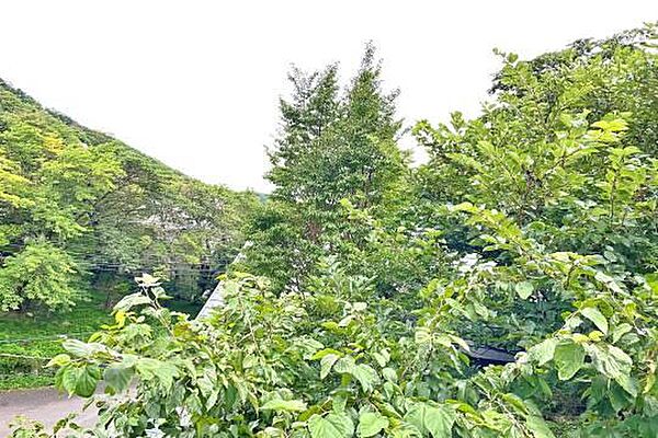 緑に囲まれた山々が一面に広がります
