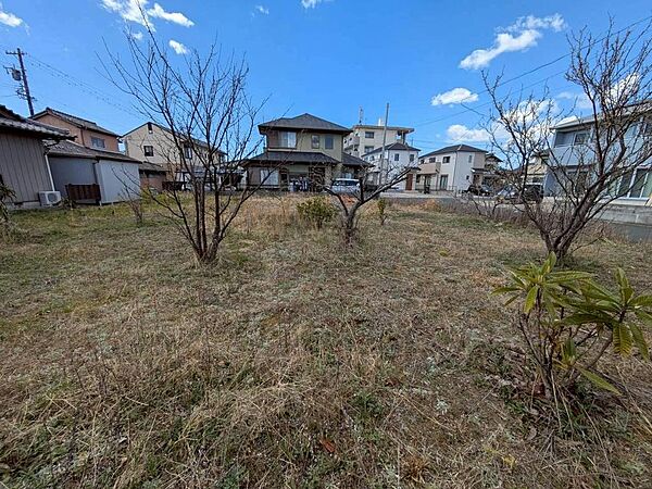東から西をのぞむ　2026/03/10撮影