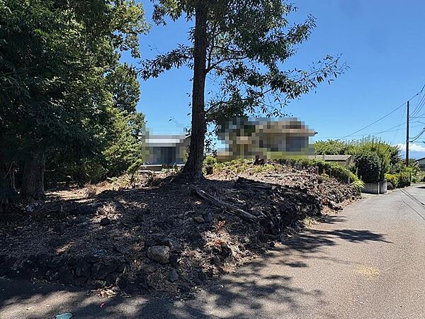 外観：322000544811