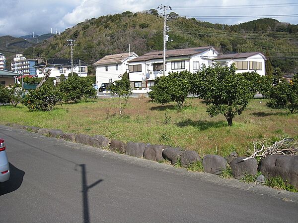 ミカン木：伐採整地後お引き渡し。