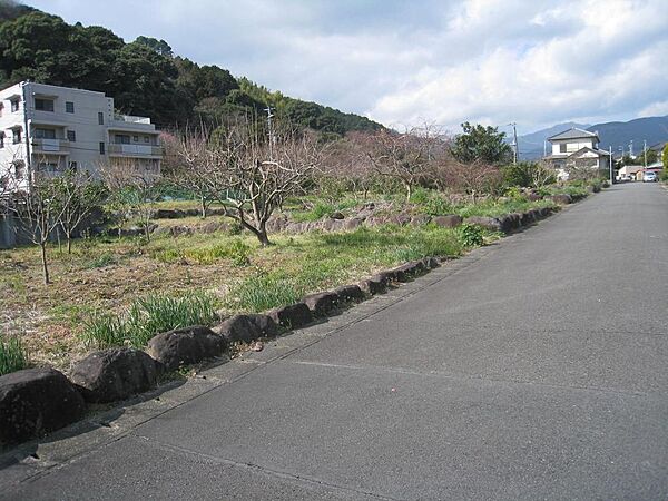 東側からの現地風景