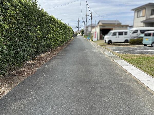 前面道路（南側）