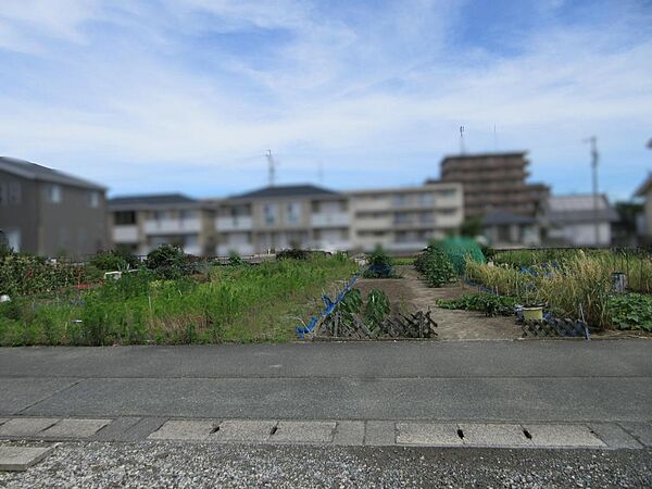 現地写真(3)