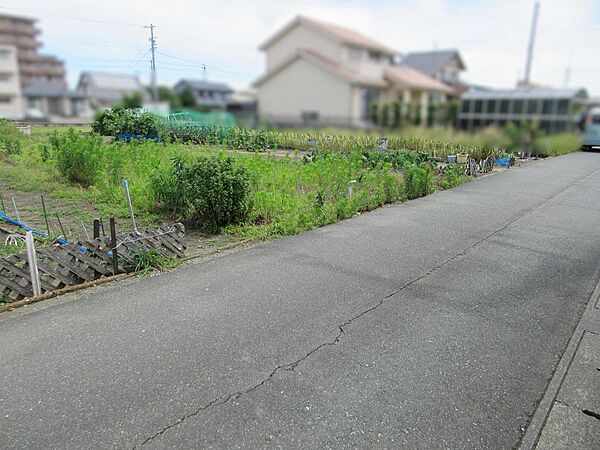 現地写真(4)