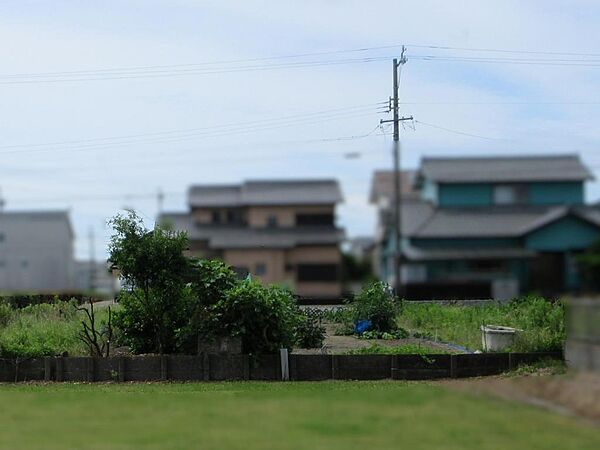 現地写真(5)