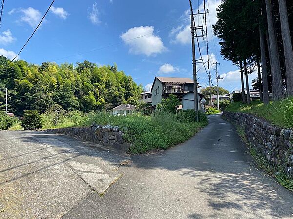 前面道路からの写真