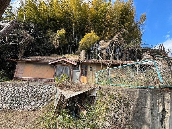 2025年2月撮影