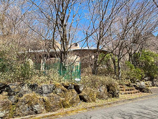 遅桜と若草の季節　空気がすがしがしいです。