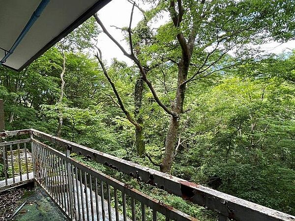 緑に囲まれた自然豊かな環境