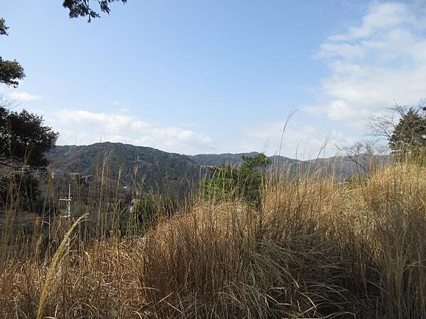 山々を望みます