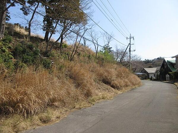 現地写真