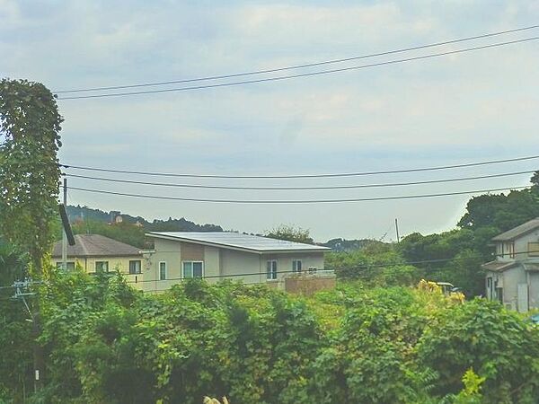 海を遠望