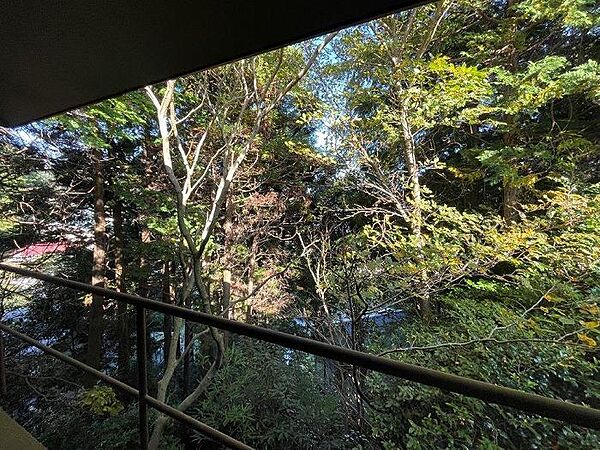 眺望　豊かな緑に囲まれた静かな環境