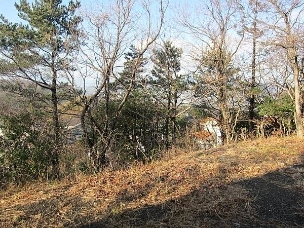 樹木伐採後、眺望を楽しめます