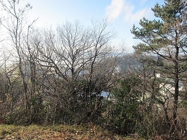 静かな環境です
