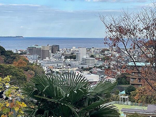 高台から海、山、伊東の街並みを望みます