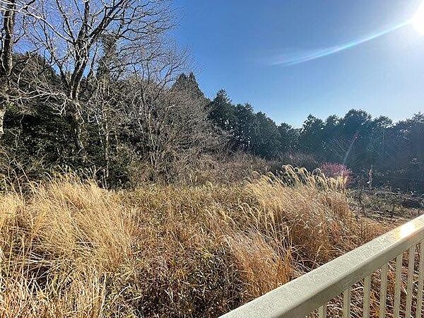 眺望　緑豊かで静かな環境