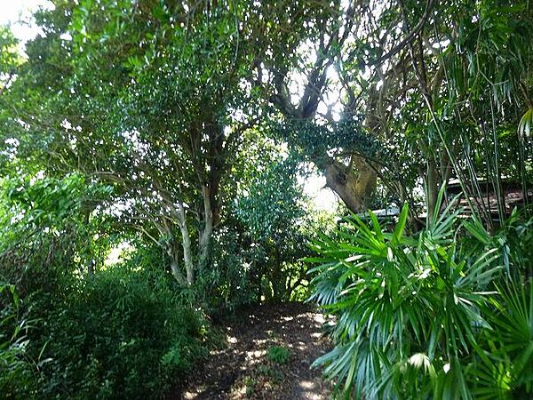 お手入れ次第でガーデニングや家庭菜園可能