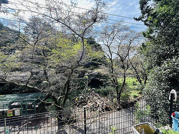 眺望　春には桜が満開になり、きれいな桜並木の景色が楽しめます