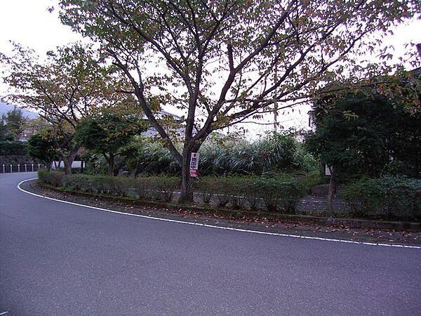 公道約8ｍ側から撮影。道路と間に歩道があります