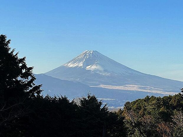 眺望　富士山を望む