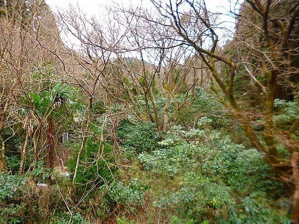 緑に囲まれた自然豊かな環境