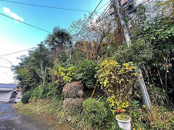 建築条件無しなのでお好きなプランで建築可能