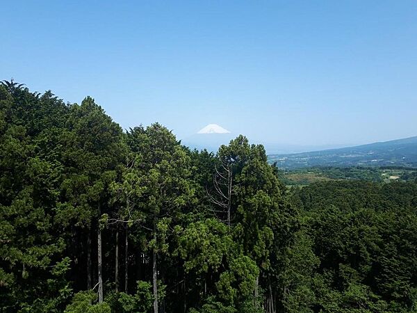 富士山望む