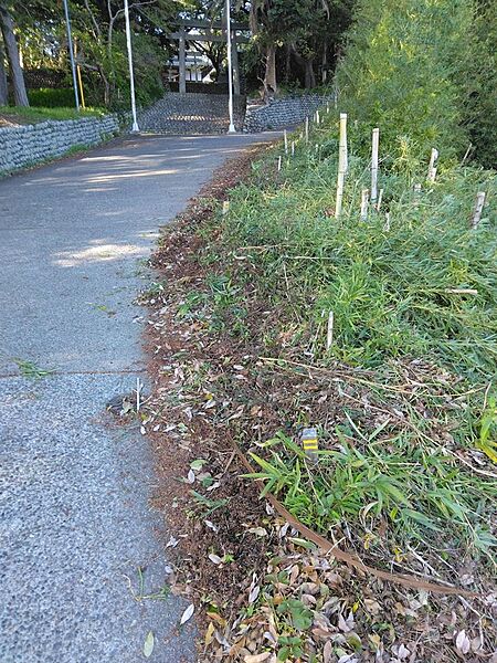 山林部分下部