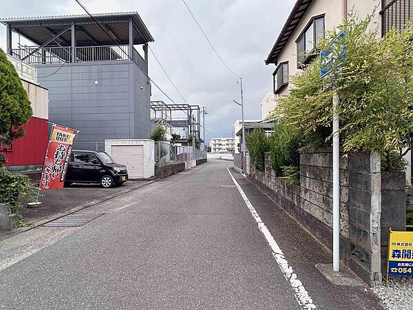 西側道路の様子（右側が現地）