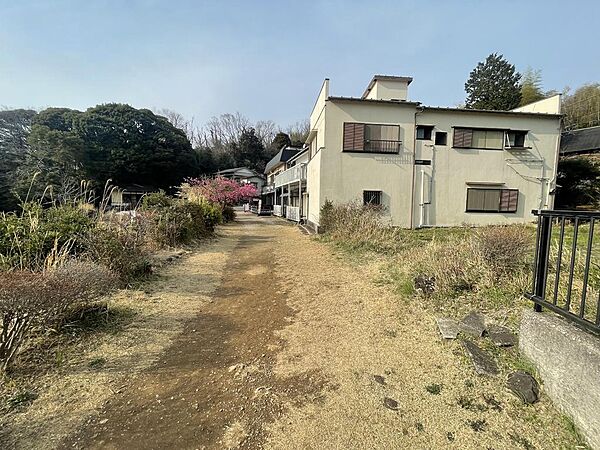 湖前の遊歩道