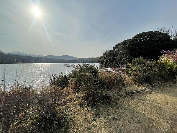 現地から一碧湖