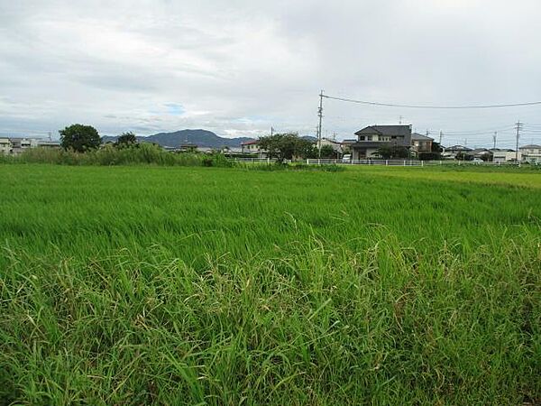 を拡大表示
