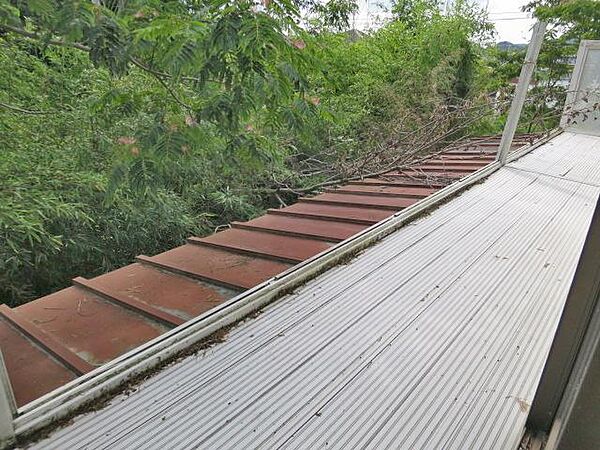 屋根の状況2