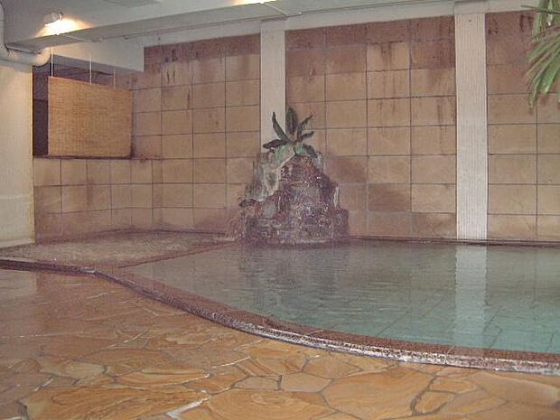 同一敷地内ホテルの温泉大浴場（有料）