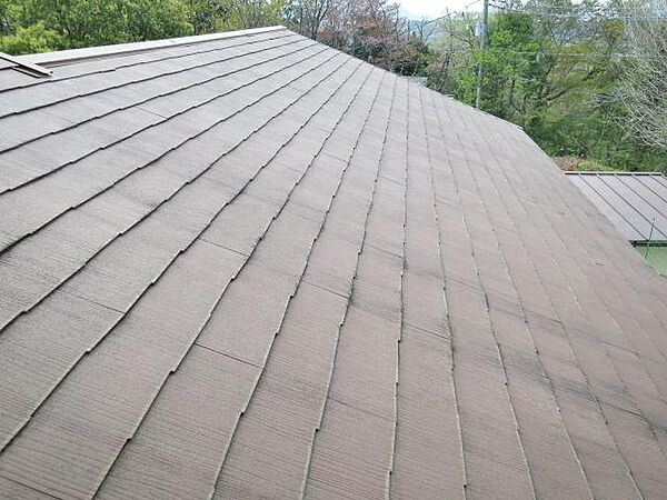屋根の状態