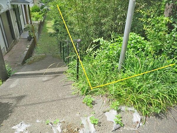 現地写真
