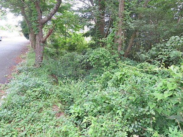 敷地と道路に少し段差があります。