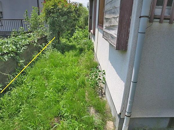 現地写真