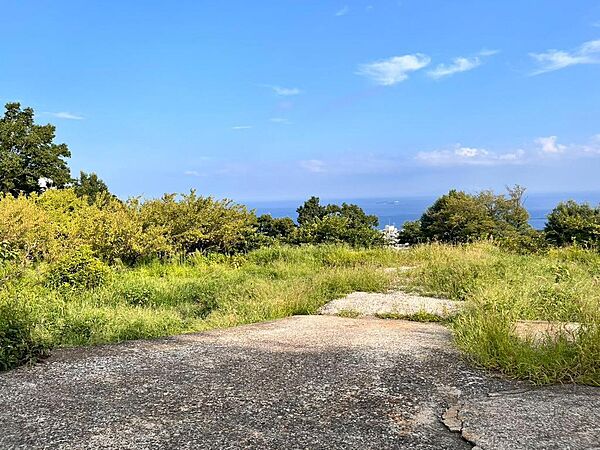 広い空も見渡せます